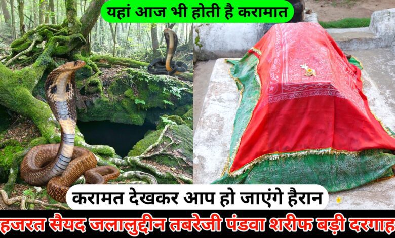 Pandua Sharif Dargah Hazrat Syed Jalaluddin Tabrizi (R.A) Pandua Sharif Ki Badi Dargah Pandua Sharif Dargah Malda