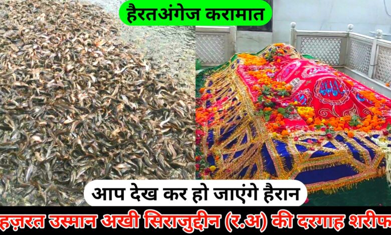 Pirana Pir Dargah Hazrat Usman Akhi Sirajuddin Malda