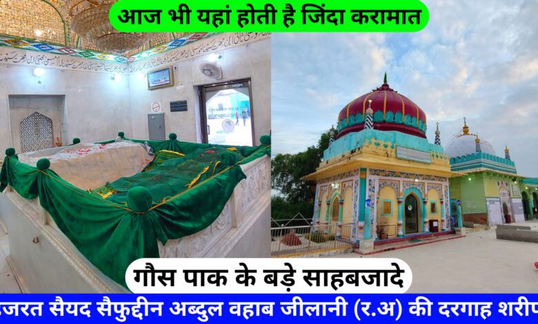 Hazrat Syed Saifuddin Abdul Wahab Gilani Bade Peer Sahab Ki Dargah Nagaur Sharif