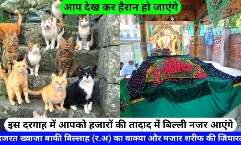 Hazrat Khwaja Baqi Billah Naqshbandi Ki Dargah Sharif hazrul remo