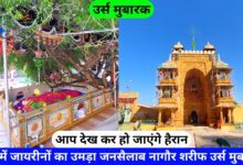 Sufi Hamiduddin Nagori Urs Nagaur Sharif Dargah hazrul remo