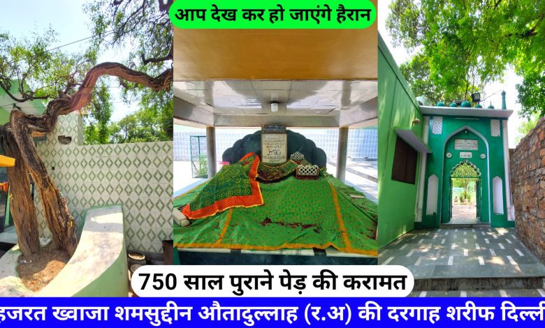Dargah Patte Wali Hazrat Shamsuddin Auta (R.A) Delhi hazrul remo