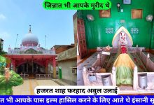 Shah Farhad Abul Ulai Naqshbandi Ki Dargah Delhi hazrul remo
