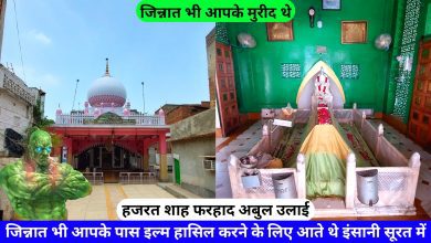 Shah Farhad Abul Ulai Naqshbandi Ki Dargah Delhi hazrul remo