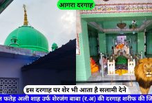 Sher Jung Baba Ki Dargah Hazrat Fateh Ali Shah Agra hazrul remo