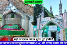 Shaikh Imaduddin Firdausi (R.A) Ki Dargah Sharif Delhi hazrul remo