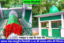 Shaikh Ruknuddin Firdausi (R.A) Ki Dargah Sharif Delhi hazrul remo